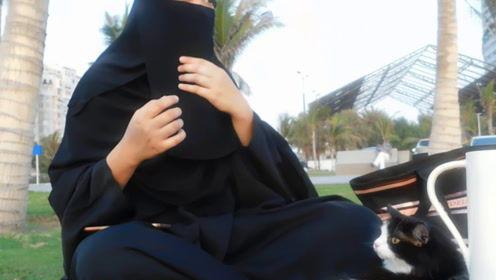 娱乐吃瓜君粉丝