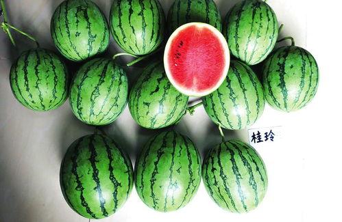 南宁今日吃瓜新闻报道,吃瓜群众聚焦最新街头新闻