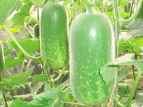 吃瓜网今日吃瓜 热门大瓜唐山